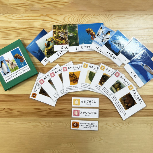 たまごをうむ? あかちゃんをうむ? それとも…?/動物の出産分類カード