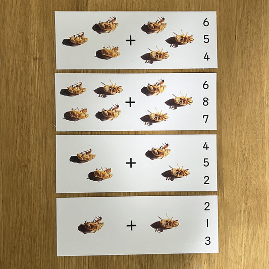 足し算カード - セミの抜け殻