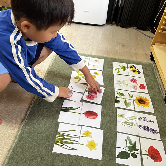 葉っぱと花のマッチングカード