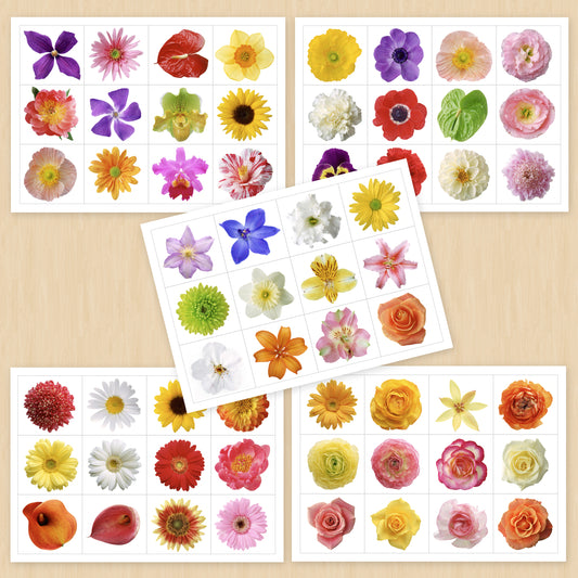 花びらのシンプルコレクション(ハサミとのりはりの活動)