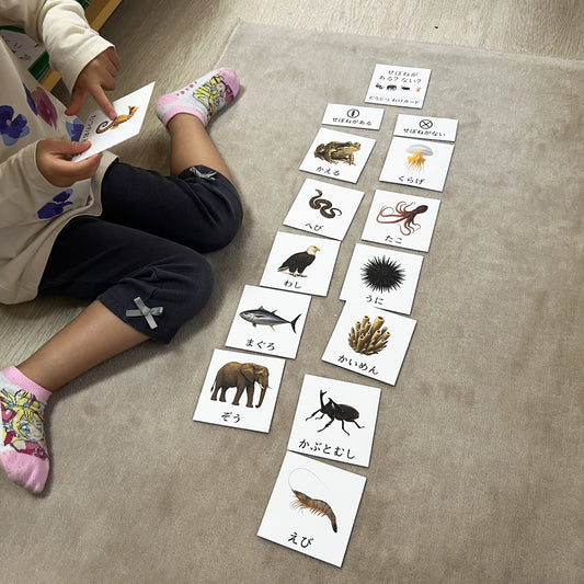 背骨がある?ない?動物わけカード|脊椎・無脊椎で分類(日本語&英語バージョン付き)