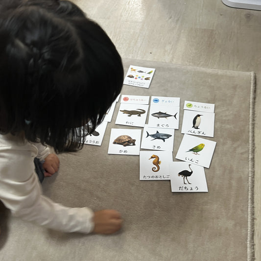 脊椎動物を5つのグループに分けよう!|分類あそびカード(日本語&英語バージョン付き)
