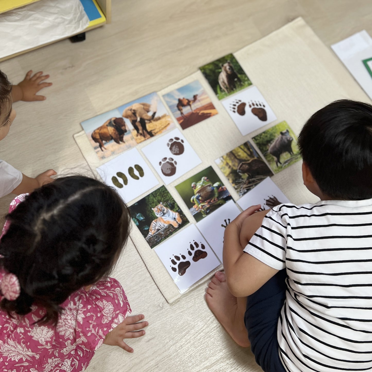 Cartes illustrées d’empreintes d’animaux (éducation culturelle)