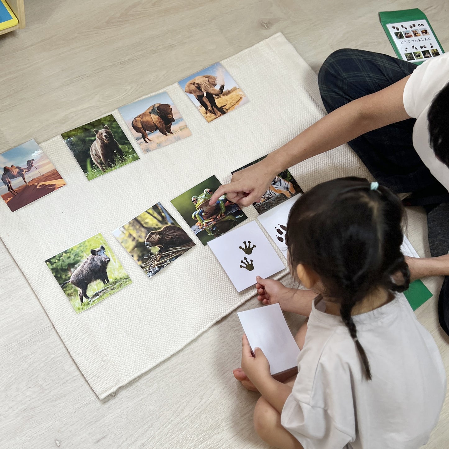 Carte illustrate sulle impronte degli animali (Educazione culturale)