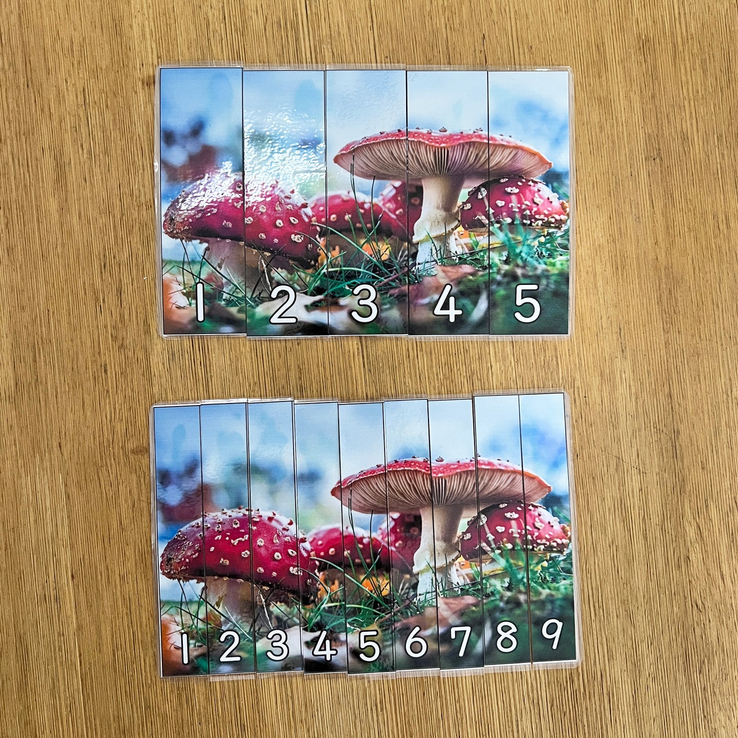 Mushroom Number Puzzle