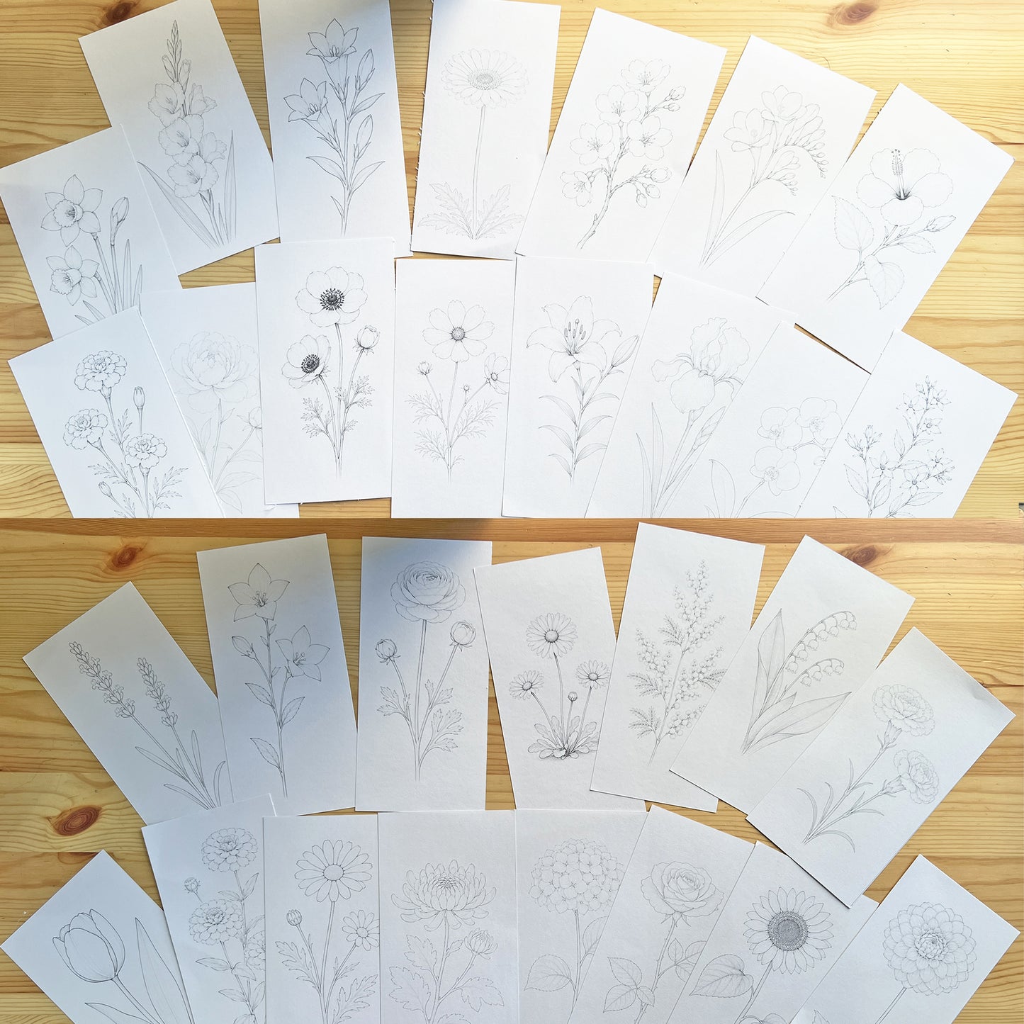 Watercolor Coloring Pages: Flowers | 30 Easy Watercolor Art Sheets for Children and Adults