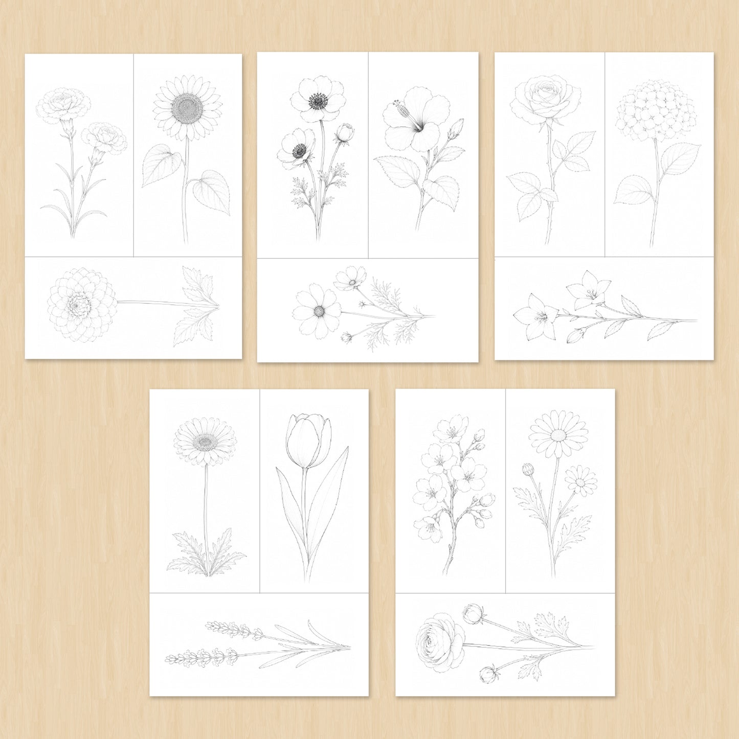 Watercolor Coloring Pages: Flowers | 30 Easy Watercolor Art Sheets for Children and Adults