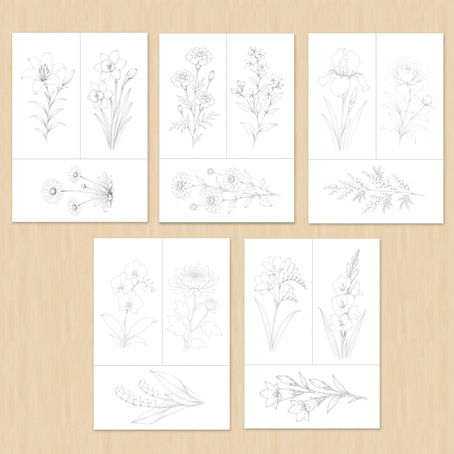 Watercolor Coloring Pages: Flowers | 30 Easy Watercolor Art Sheets for Children and Adults