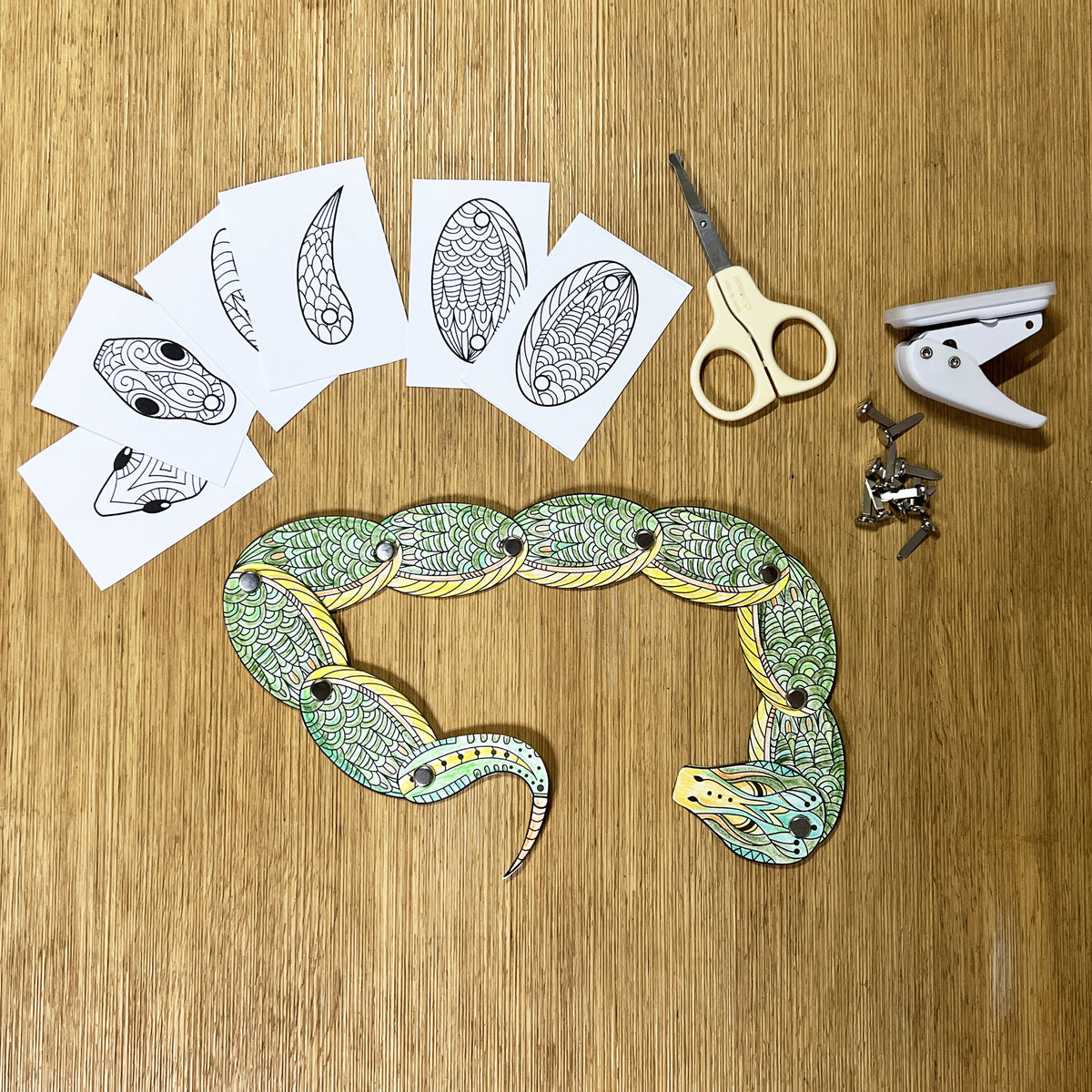 Color Cut Out Snake Cut & Color Split Pin Snake for Scissors and coloring Skills ...