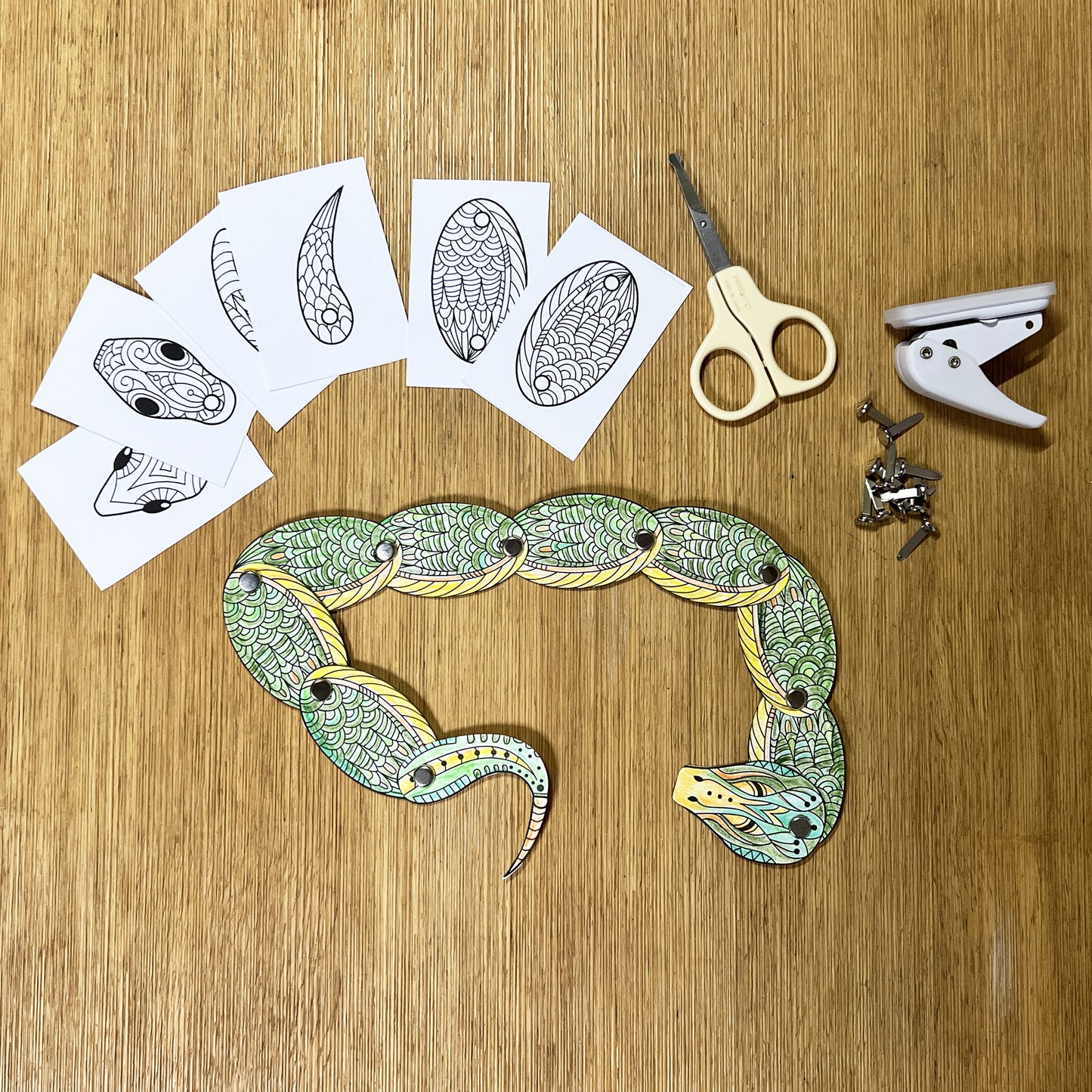 Cut & Color Split Pin Snake for Scissors and coloring Skills.